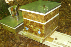 Blue Star Bees Hive 2 - Day 1
